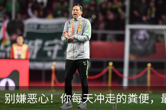 别嫌恶心！你每天冲走的粪便，最后竟全藏进城市这些秘密角落里！